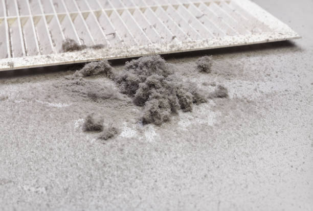 Best Local Air Duct Cleaning Services  in Geneseo, IL