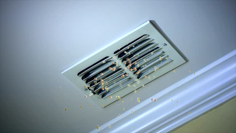 Best Professional Duct Cleaning Services  in Geneseo, IL