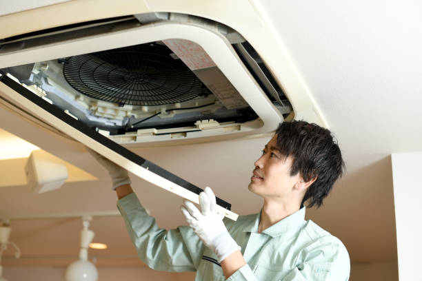 Best HVAC Duct Inspection Services  in Geneseo, IL